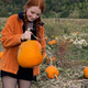Image for article titled Why do we obsess over pumpkins every fall?